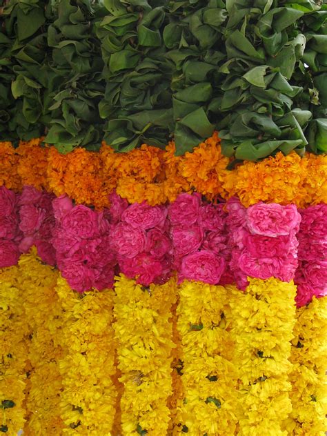 Going direct to the local florists means. India - Colours of India - Flower garlands for sale 1 | Flickr