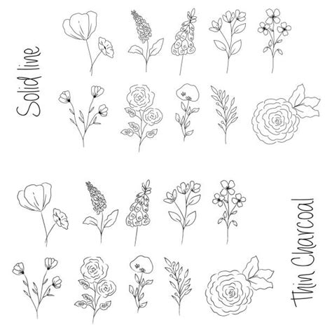 120 Drawing Of South African Flowers Stock Illustrations Royalty Free