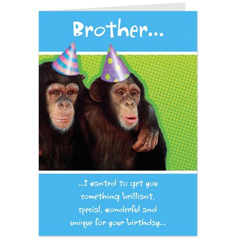 Hilarious Birthday Quotes For Brother Quotesgram