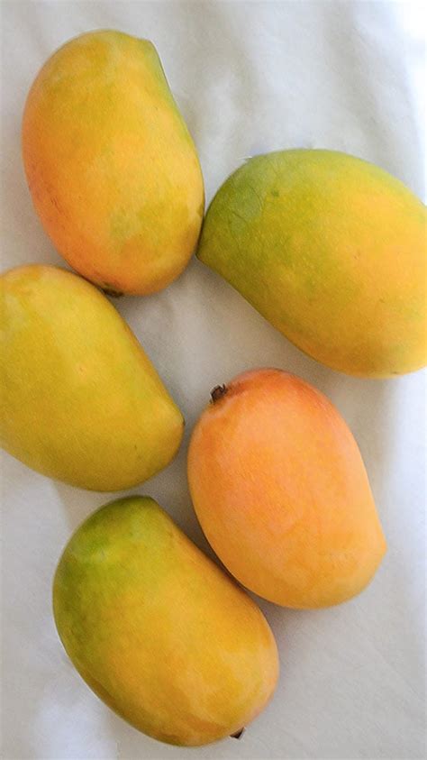 Can Diabetics Eat Mangoes Tap Here To Know The Answer