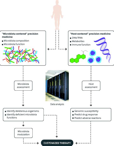 The Role Of The Microbiome In Human Health And Disease An Introduction