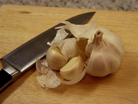 Garlic (allium sativum) is a species in the onion genus, allium. File:White garlic cloves.jpg - Wikimedia Commons