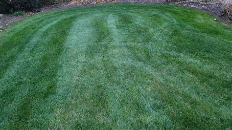 How To Get Greener Grass Portage Turf Specialists Llc