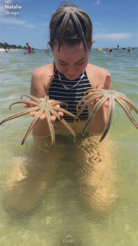 9 Legged Starfish In The Gulf Of Mexico In Naples At