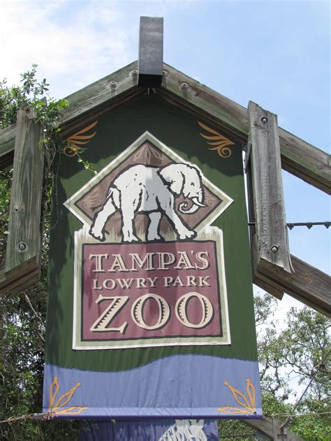 10 Best Zoos For Kids 1 Lowry Park Zoo Vacation Usa Places In