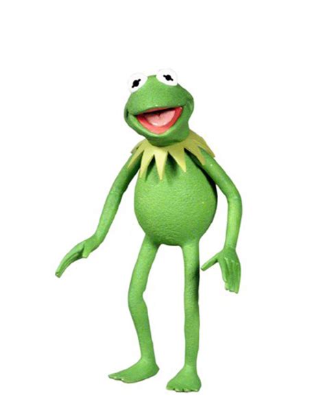 Kermit The Frog Action Figure Muppet Wiki Fandom