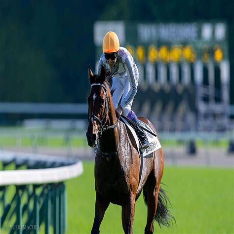 フォレ賞（g1）・フォワ賞（g2）・ニエル賞（g2）他に日本馬が登録 2022年8月25日掲載 ライブドアニュース