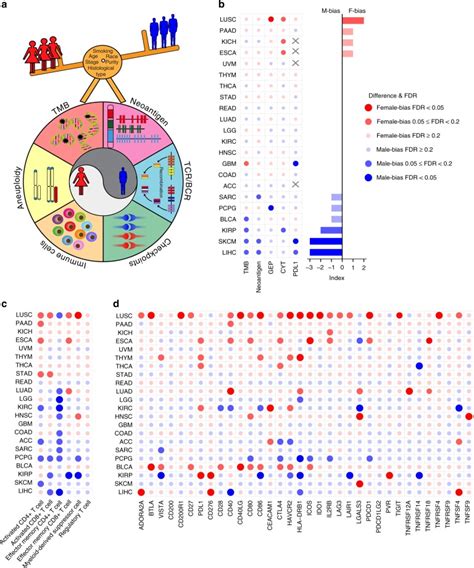 Sex Associated Molecular Differences For Cancer Immunotherapy Nature Hot Sex Picture