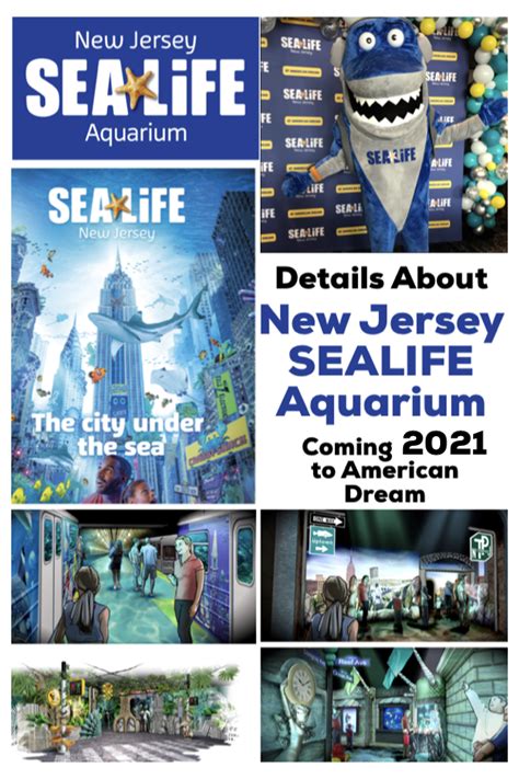 New Jersey Sea Life Aquarium And Legoland Discovery Center New Jersey