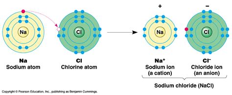 Does Sodium Chloride Have An Ionic Bond Socratic