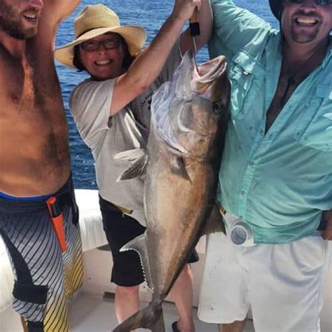 Amberjack Season Is Back August 1st Into The Blue