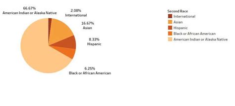 Racial Makeup Of Us Pie Chart My Bios