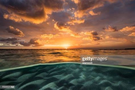 Sunset Underwater Photos And Premium High Res Pictures Getty Images