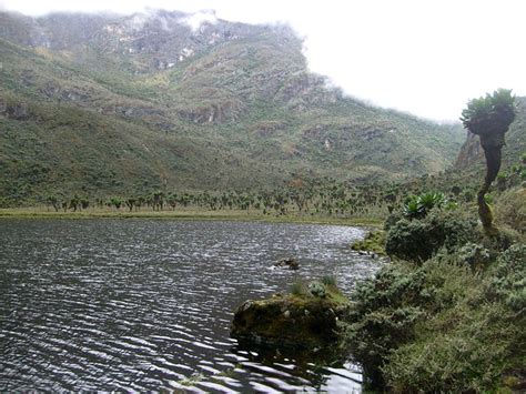 Explore The Bakonzo Culture Unique Culture In Uganda