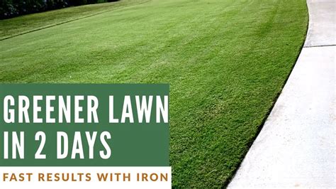 How Make Your Lawn Green