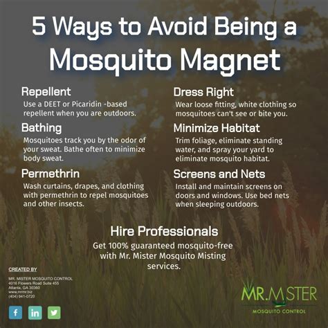 Dont Be A Mosquito Magnet Mr Mister Mosquito Controlmr Mister Mosquito Control