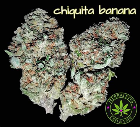 Chiquita Banana Herbaleyes Cbd Cronicles