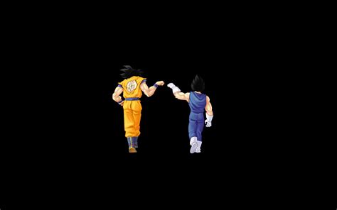 The two fist bump and say 1000 years, transporting into the future of babari where a fight breaks out between the planet's denizens, zamasu concluding their continued existence would. Dragon Ball Z Goku and Vegeta Black Background Wallpaper ...