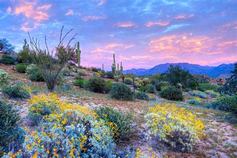 12 Mesmerizing Places To Watch Flowers Bloom Travel Smithsonian