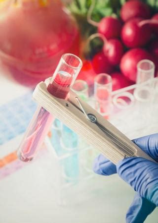 Search safety engineer, advisor or manager jobs nearby! Certification Training | South Africa