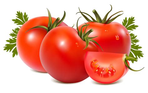 Free Tomato Clipart Royalty Free Png File Pearly Arts Clip Art