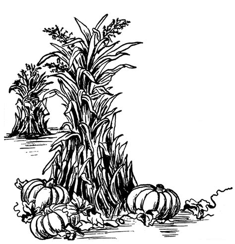 Please, wait while your link is generating. Fall Harvest Clip Art! - The Graphics Fairy