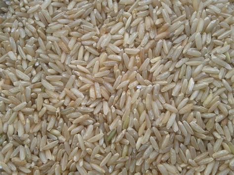 Health Benefits Of Brown Rice Innovative Farming Solutions