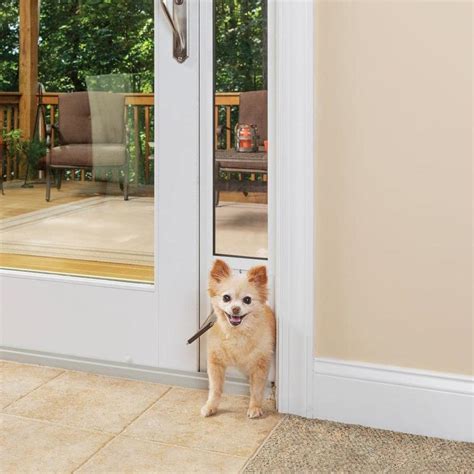 What Is The Best Dog Door For Sliding Glass Door Dog Door Sliding