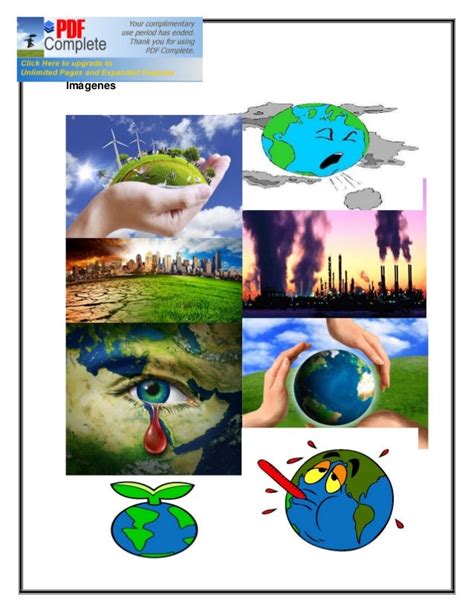 Collage Sobre El Cuidado Del Medio Ambiente