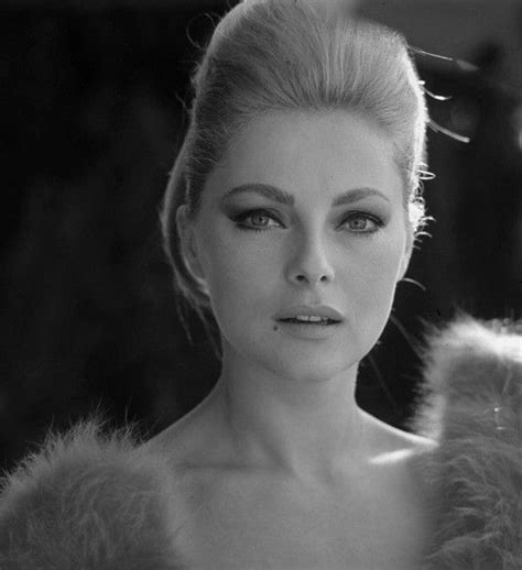 Virna Lisi By Angelo Frontoni C1970 Classic Film Stars Glamour Movie Hollywood Glamour