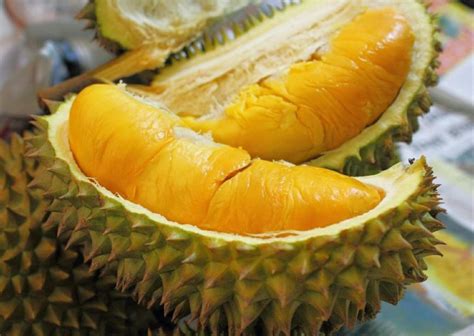 Hal ini umumnya dapat diartikan sebagai kondisi yang baik bagi bayi karena dengan begitu kelebihan udara. Bila Makan Durian Je, Bau Lekat Kat Tangan? Sebenarnya Tak ...