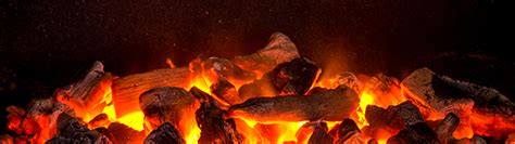 Later these raw materials can be refined into biomass and solid biofuel for higher fuel efficiency. The Facts about Using Coal in a Log Burner