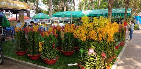 Free Images Vietnam Saigon Ho Chi Ming City Flowers Market