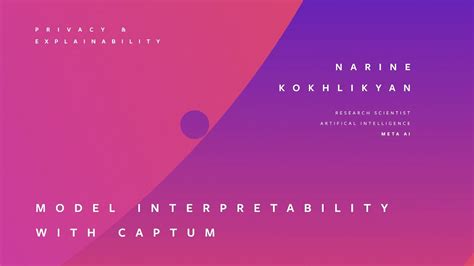 Model Interpretability With Captum Narine Kokhlikyan Youtube