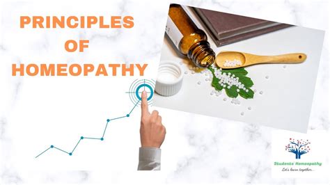 Principles Of Homeopathy Including The Three Pillars Of Homeopathic