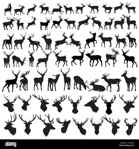 Vector Large Collection Of Deer Silhouettes Stock Vector Image And Art