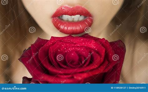 close up shot of woman lips with red lipstick and beautiful red rose stock image image of