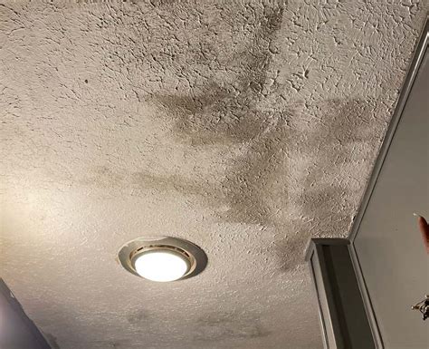 How To Get Rid Of Mold On The Ceiling Home Interior Design