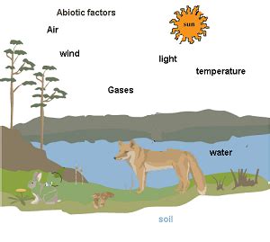 Faktor abiotik atau tidak hidup. 6 Faktor Yang Mempengaruhi Persebaran Flora dan Fauna di ...