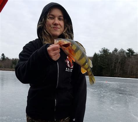 Big Fish Caught By Upstate Ny Ice Anglers Reader Photos