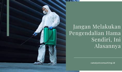 Jangan Melakukan Pengendalian Hama Sendirian