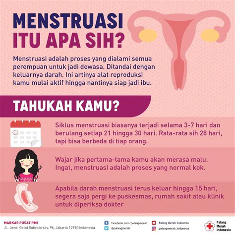 Infografis Menstruasi Itu Apa Sih Pendidikan Kesehatan Kutipan