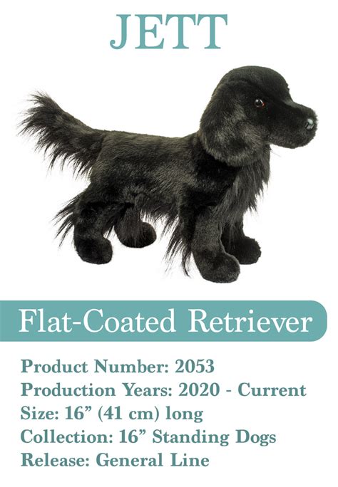 Flat Coated Retriever 2052 Jett By Thedouglasdepository On Deviantart