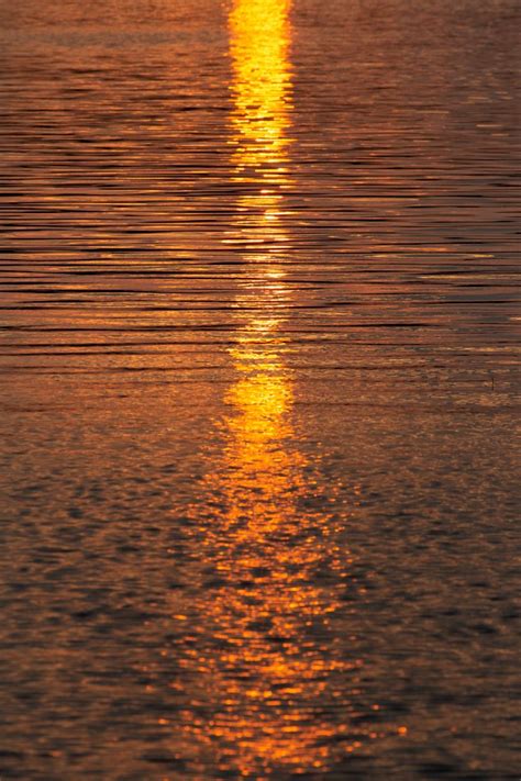 Sunset Water Reflection Free Stock Photo Shotstash