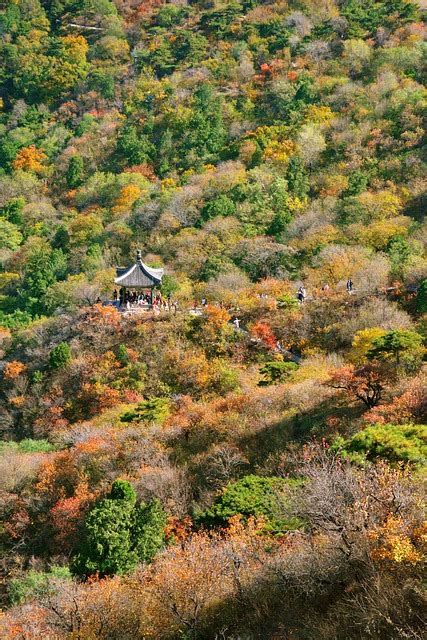 Autumn Beijing Fragrant Hill Free Photo On Pixabay Pixabay