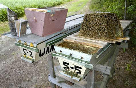 Complete hive body 20 hexagonal shaped bars with passage holes and ventilation system beepods.com vented top bar hive milwaukee. Opening Hives - 200 Top Bar Hives: The Low-Cost ...