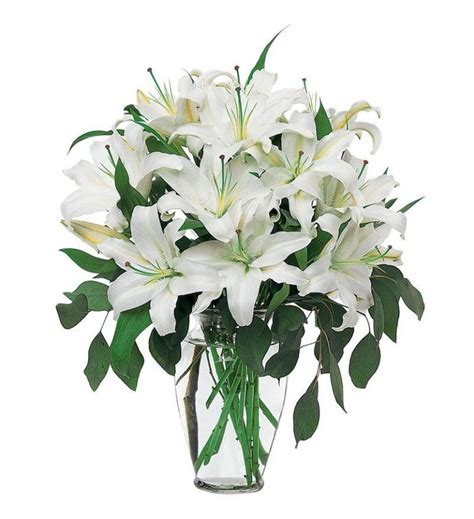 Lily Arrangements And Bouquet Ideas