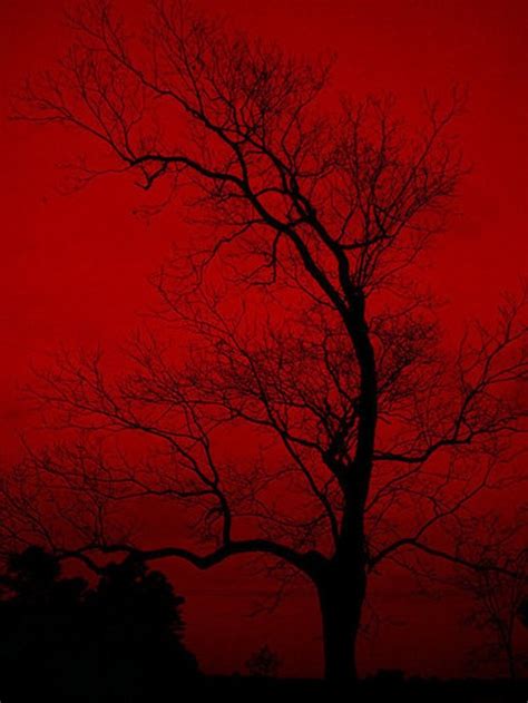 Find red grunge aesthetic sky image, wallpaper and background. red shadow.. | Red art, Red aesthetic, Shades of red