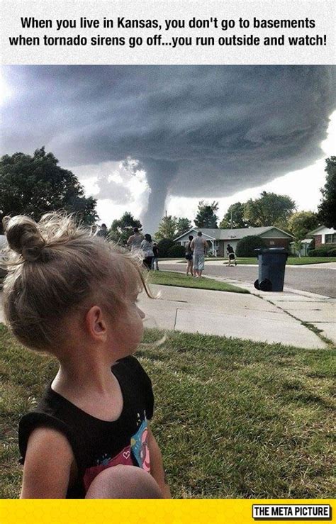 Tornado Selfie Here It Comes Meme 810 Selfie Funny Memes Memes
