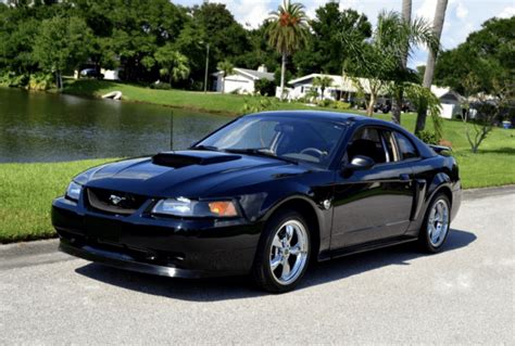 2004 Ford Mustang Ultimate In Depth Guide
